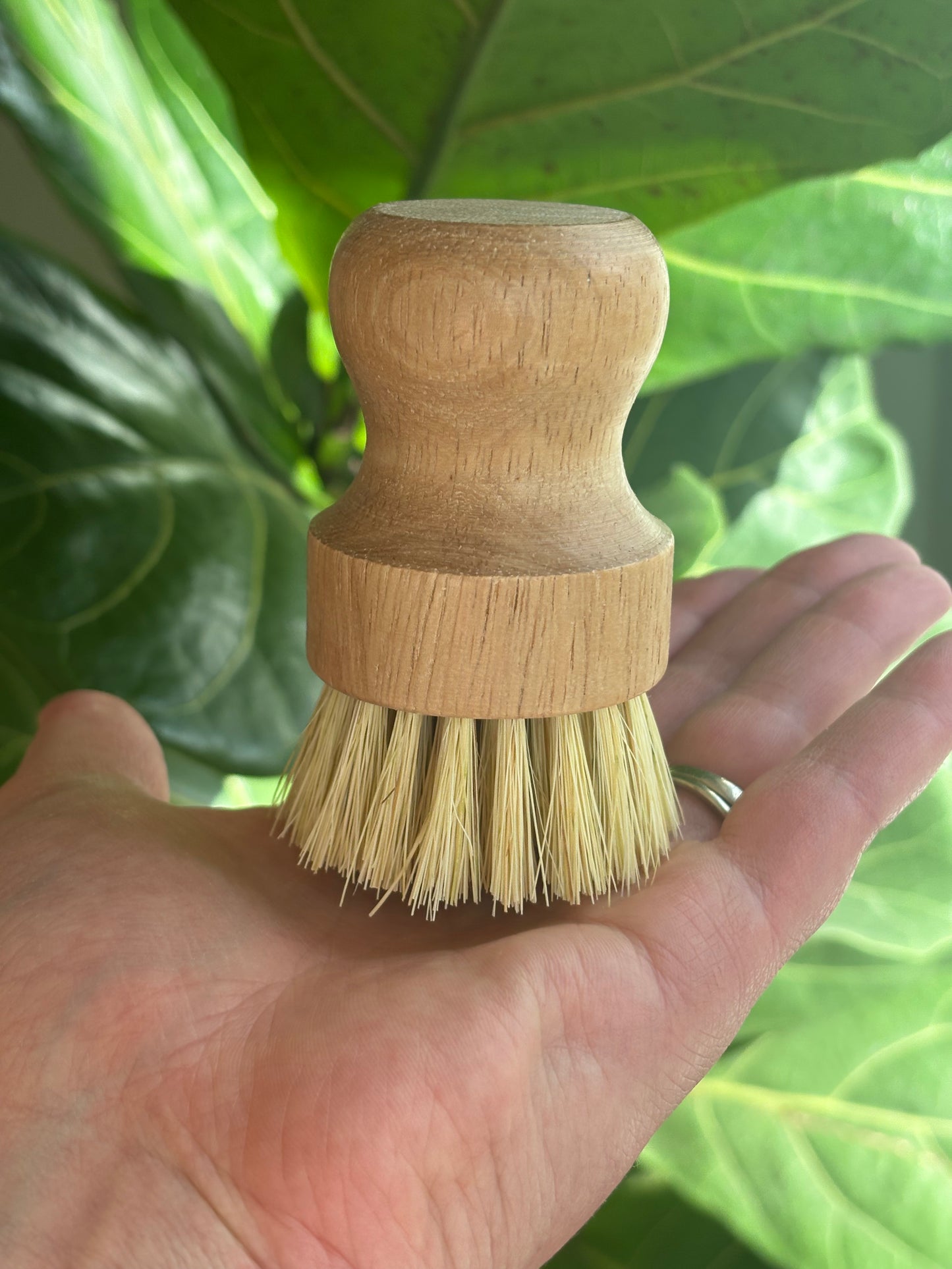Bamboo Dish Brush