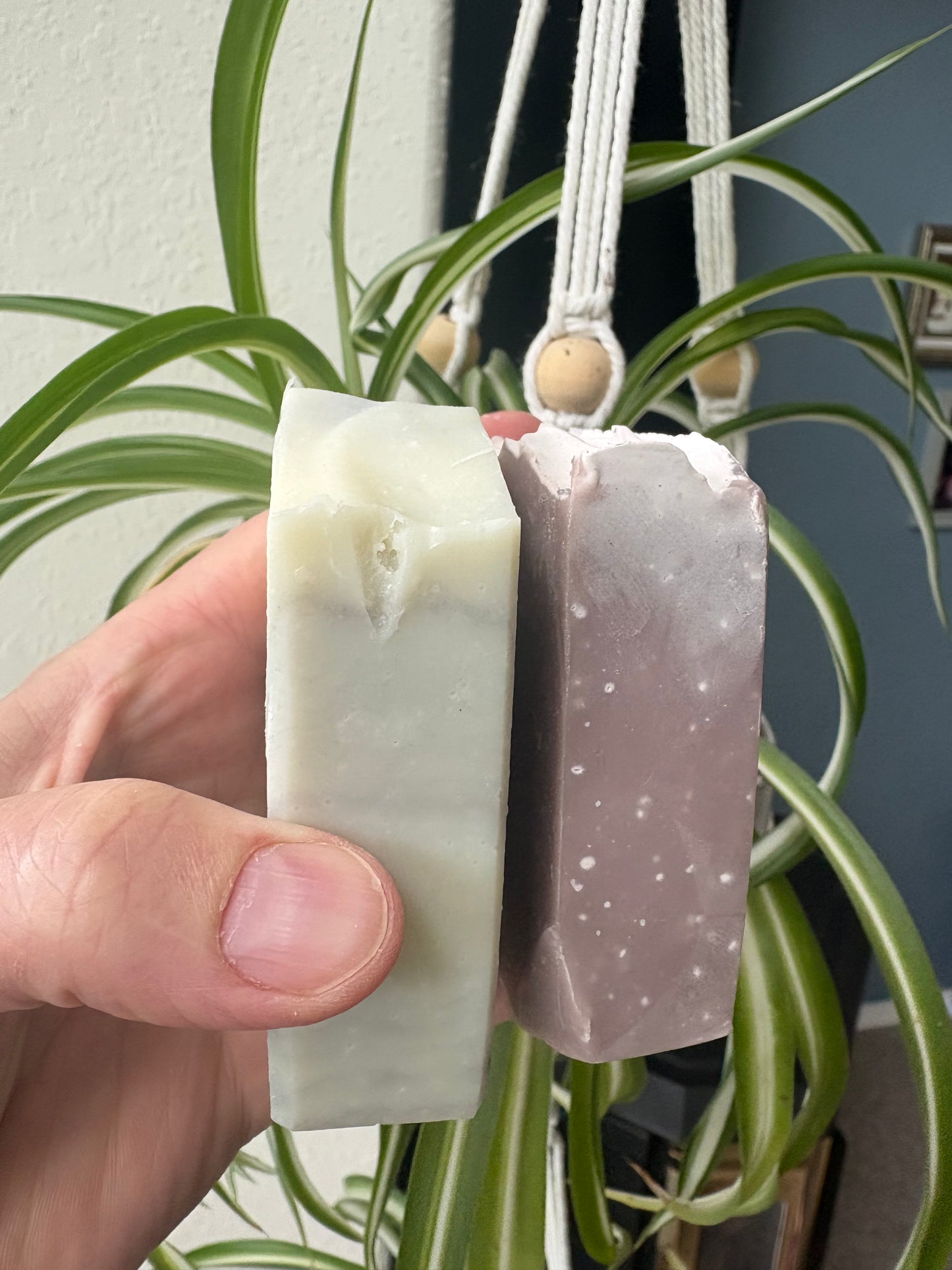Discounted Soaps