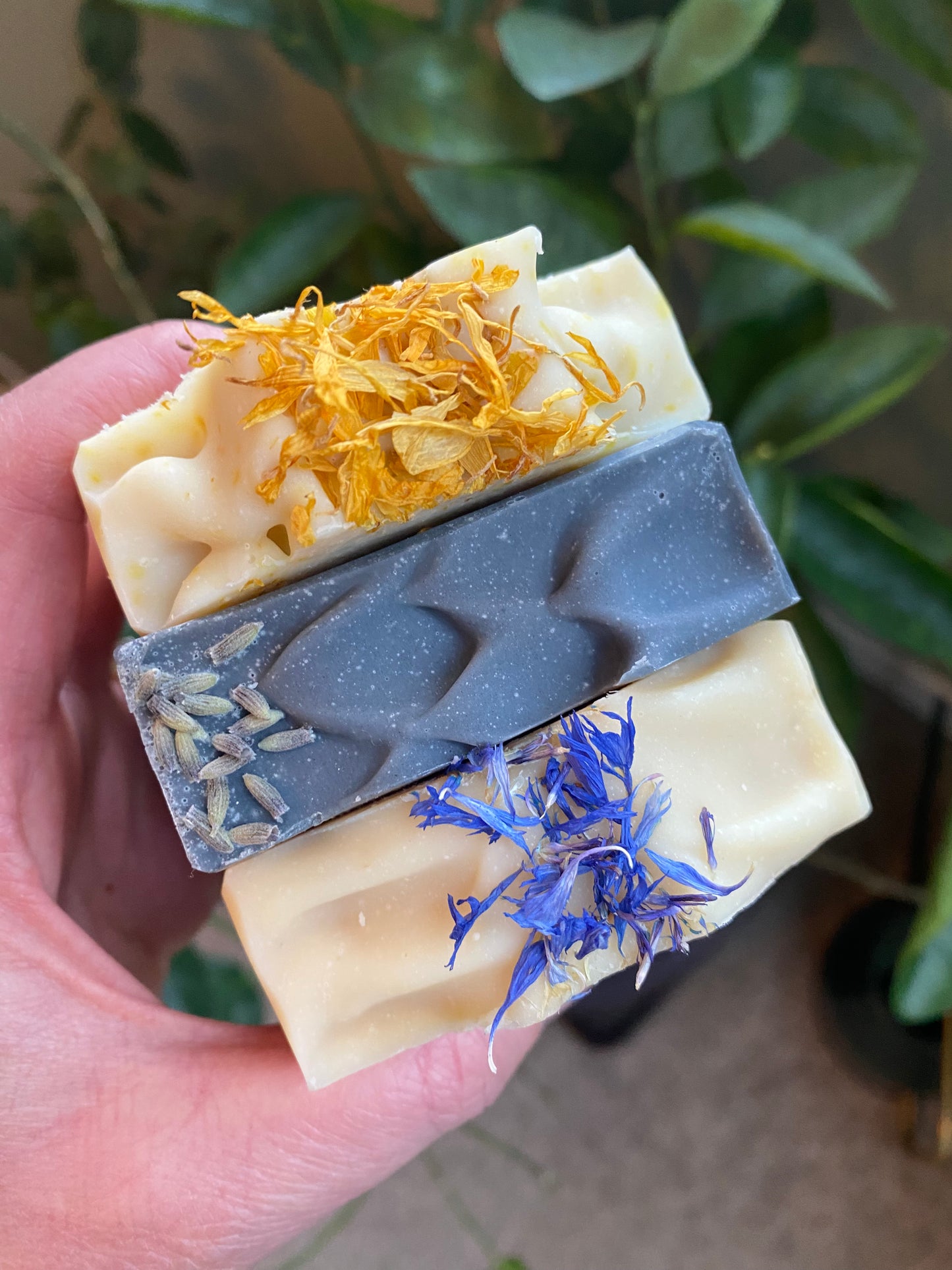 Discounted Soaps